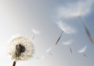 Qualité de l’air intérieur