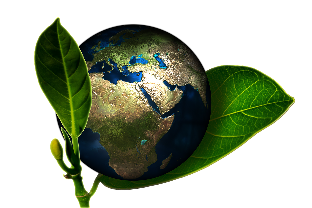 déchets liquides, déchets médicamenteux, développement durable, écologie, tri