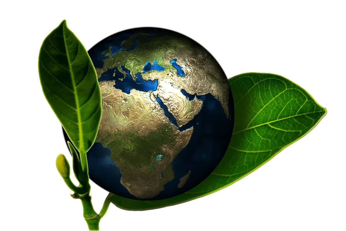 déchets liquides, déchets médicamenteux, développement durable, écologie, tri