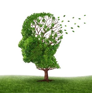 MAG N°49:  ALZHEIMER: Gérer la maladie en EHPAD