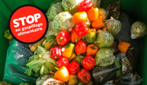 Engager une politique anti-gaspillage alimentaire en EHPAD