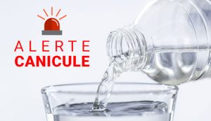 Semaine de canicule : comment protéger les résidents en EHPAD ?