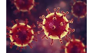 Coronavirus : quelles recommandations pour les EHPAD ?