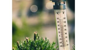 La chaleur estivale augmente la mortalité en France